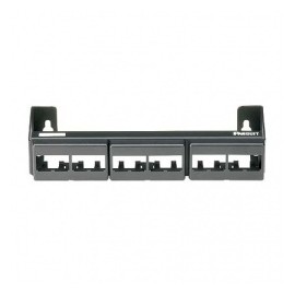 Panduit Panel de Parcheo Modular con Soporte, 12 Puertos