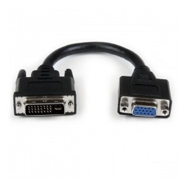 StarTech.com Adaptador DVI Macho - VGA Hembra, 20cm, Negro