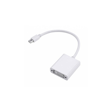 Xtech Adaptador mini DisplayPort Hembra - DVI Hembra, 10cm, Blanco