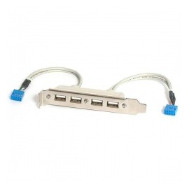 StarTech.com Cabezal Bracket 4x USB 2.0 con Conexión a Placa Base 2x IDC10