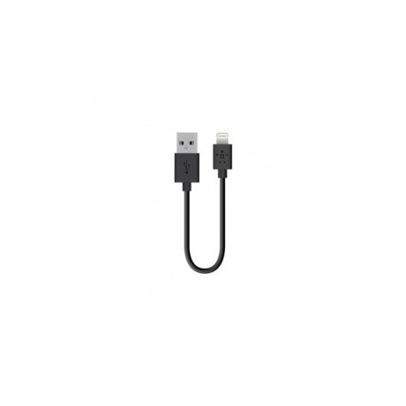 Belkin Cable USB A Macho - Lightning Macho, 15cm, Negro