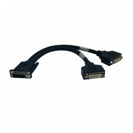 Tripp Lite Cable Divisor en Y DMS Macho - 2x DVI Hembra, 30cm, Negro