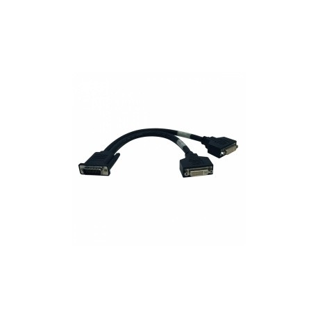 Tripp Lite Cable Divisor en Y DMS Macho - 2x DVI Hembra, 30cm, Negro