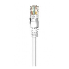 Intellinet Cable Patch Cat6 UTP RJ-45 Macho - RJ-45 Macho, 50cm, Blanco