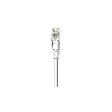 Intellinet Cable Patch Cat6 UTP RJ-45 Macho - RJ-45 Macho, 50cm, Blanco