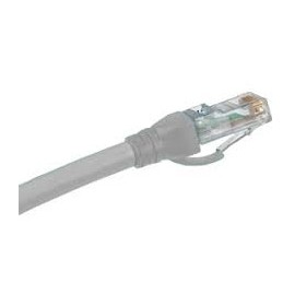 Belden Cable Patch Cat6 UTP RJ45 Macho - RJ45 Macho, 3 Metros, Gris