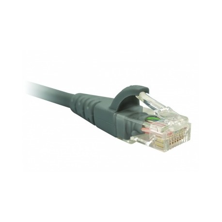 Nexxt Solutions Cable Patch Cat6 UTP RJ-45 Macho - RJ-21 Macho, 2.1 Metros, Gris