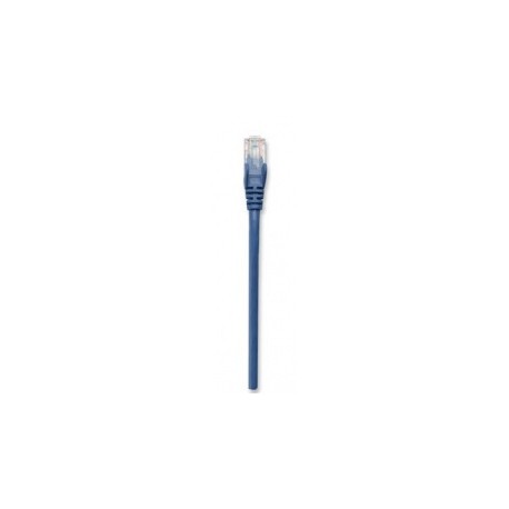 Intellinet Cable Patch Cat5e UTP 100 Cobre, RJ-45 Macho - RJ-45 Macho, 3 Metros, Azul