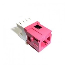 Belden Jack Cat6, RJ-45, Rojo