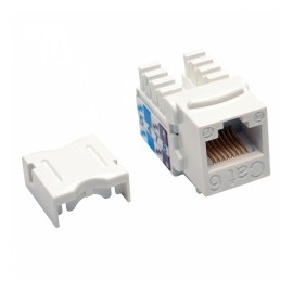 Tripp Lite Jack Cat6/Cat5e, Tipo Punch Down 110, RJ-45 Hembra, Blanco