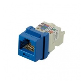 Panduit Jack de Red Cat6, RJ-45, Azul