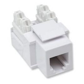 Intellinet Jack para Telefonía de Imacto, RJ11/12, Blanco