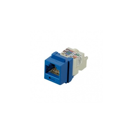 Panduit Jack de Red Cat6, RJ-45, Azul