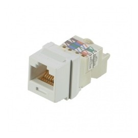 Panduit Jack de Red Cat6, RJ-45, Blanco