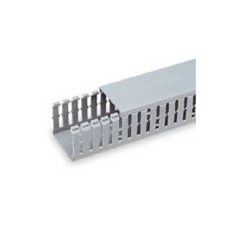 Panduit Ducto Tipo G de Ranuras Anchas, 0.5 x 1 x 6, PVC, Gris Claro