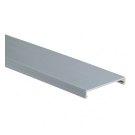 Panduit Tapa para Ducto Ranurado, 1.5 x 6, PVC, Gris