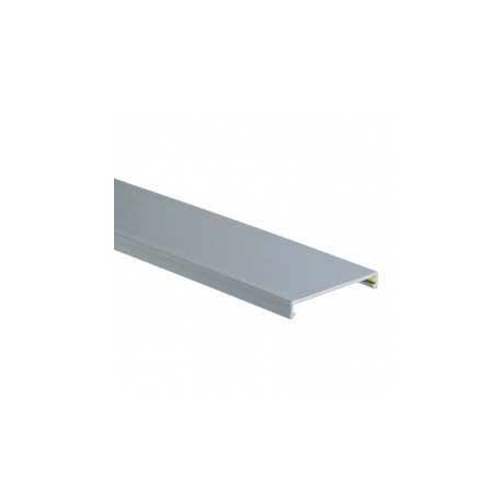 Panduit Tapa para Ducto Ranurado, 2.5 x 6, PVC, Gris