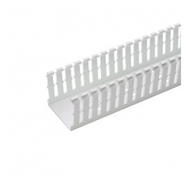 Panduit Ducto Ranurado Tipo F, 2 x 3 x 6, PVC, Blanco