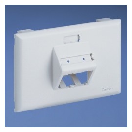 Panduit Placa Horizontal, 2 Puertos, Blanco