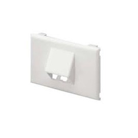 Panduit Placa Horizontal, 2 Puertos, Blanco