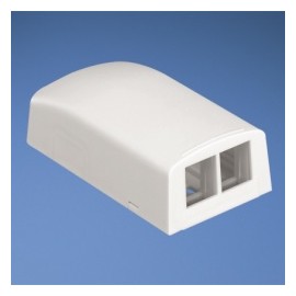 Panduit Caja para 2 Módulos NetKey, Blanco