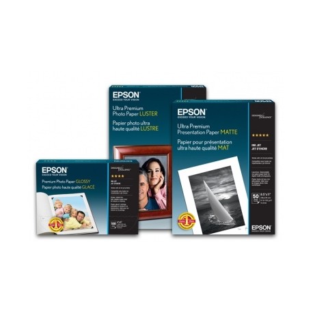 Epson Rollo de Papel Estandar Proofing 240 g/m², 30.4m x 43.2cm, Blanco