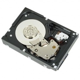 DIsco Duro para Servidor Dell 1TB SATA 7200RPM