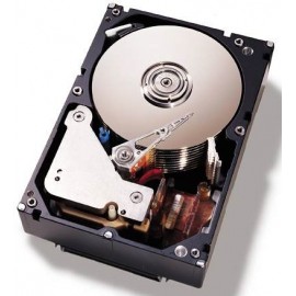 Disco Duro para Servidor IBM G2SS HDD 500GB SATA 7200RPM