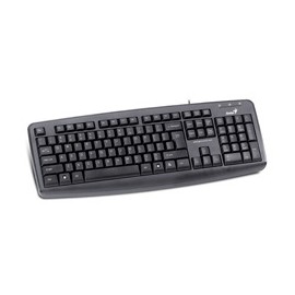 Teclado Genius KB-110X, Alámbrico, USB, Negro (Español)