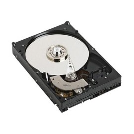 Disco Duro para Servidor Dell 1TB SATA 7200RPM